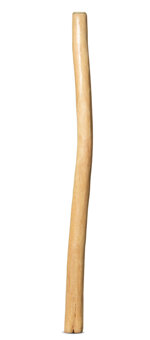 Medium Size Natural Finish Didgeridoo (TW1236)